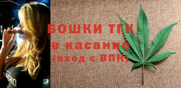 индика Баксан